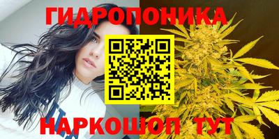 jwh Нальчик