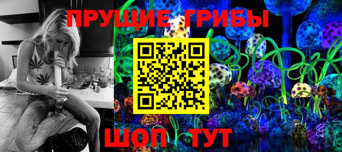 Псилоцибиновые грибы мухоморы Северобайкальск