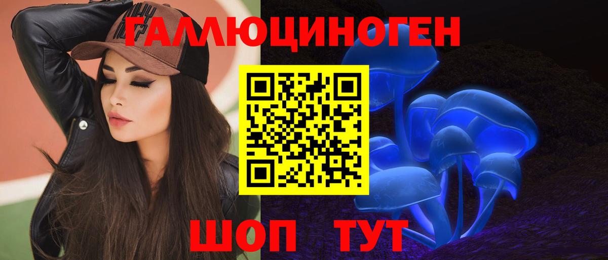 как найти закладки  Псилоцибиновые грибы мицелий  Вход с VPN  Северобайкальск 